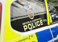 Man arrested after police attend Kingsbridge address