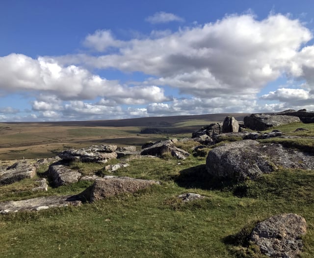 MPs call for public inquiry on Dartmoor