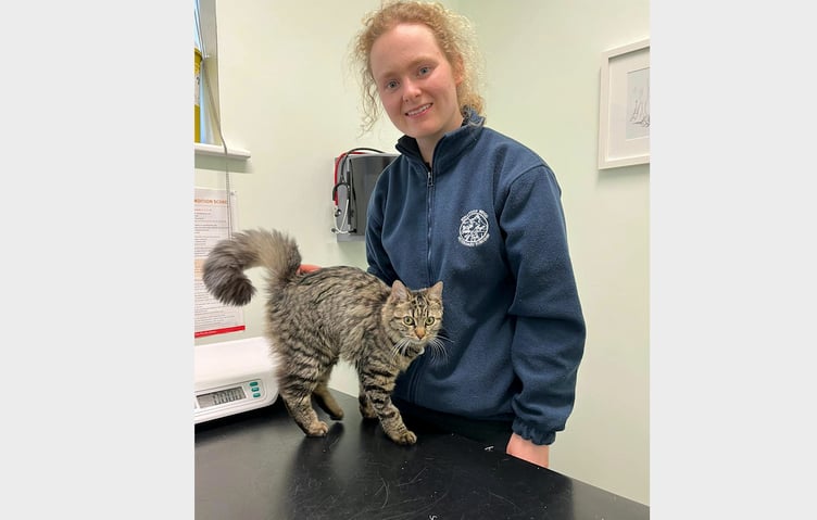 Margot with vet Alice Kay from Jonathan Wood Vets.