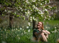 National Trust in South West invites public to celebrate spring