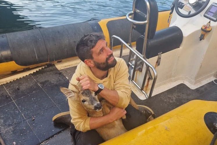 Three scallop divers rescued a young deer which fell into a harbour - pulling it out by its antlers. SWNS story
May 2023