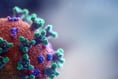 Data shows a rise in coronavirus cases in the South West

