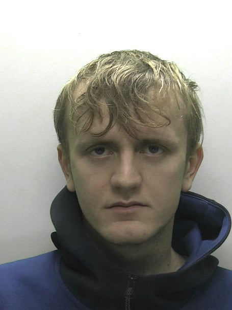 Pearson will be put on the sex offenders register for life