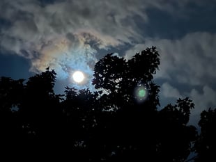 Did you see the Blue Moon last night? These readers did