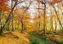 Autumnal weather on the way