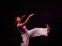 Inaugral tour of Persian dance
