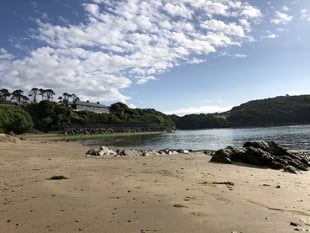 Residents hoping to restore the river Erme need your help 