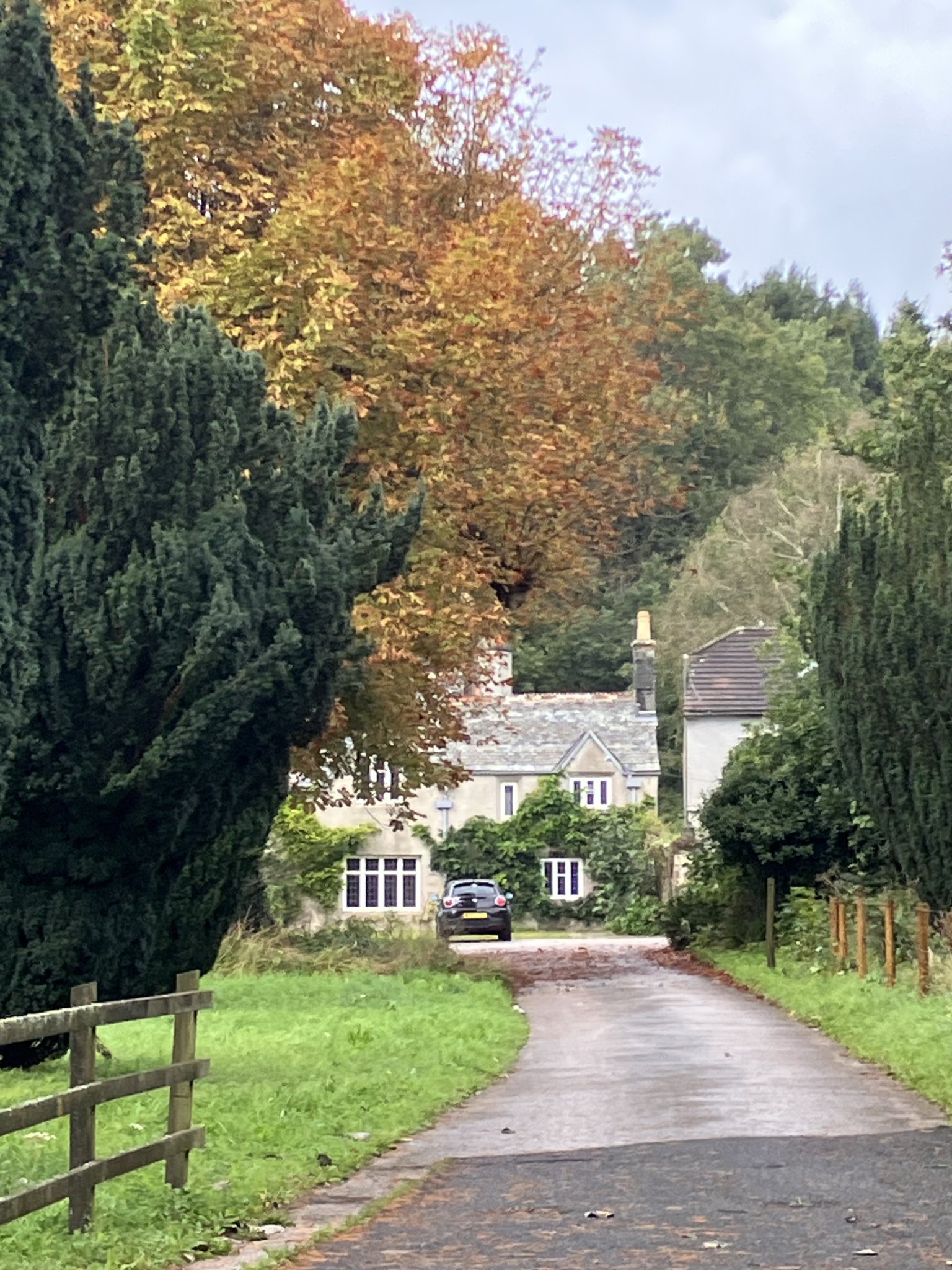 Independence for eco college?