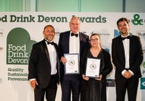 Ivybridge Brewing Company wins two awards