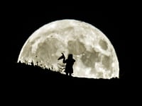 Halloween 2023: More witches living in South Hams