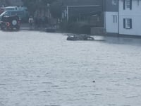 South Hams hit by  heavy rain 