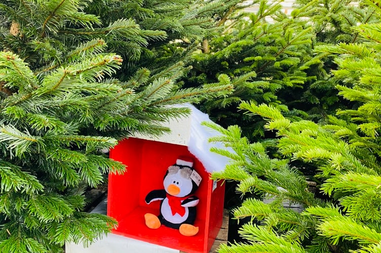 Plants Galore run a free Children's character hunt at every store that's always very popular