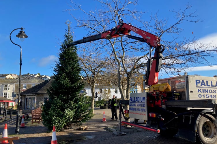 Kingsbridge Christmas Tree