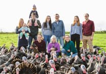 Buy local for Christmas, says Kingsbridge turkey farmer