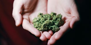 Cannabis quiche led gardener to launch raid on filling station
