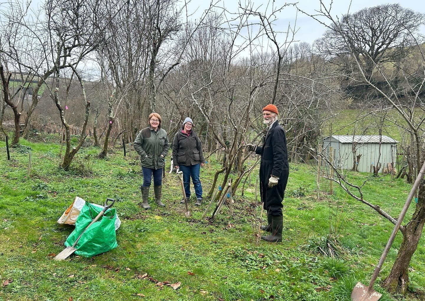 Project to save our Dittisham plums