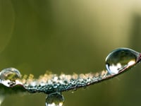 South West Water help customers save water, money and the environment
