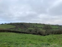 Fund offers grants to improve local environment