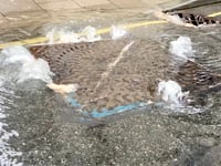 Call for water rates strike