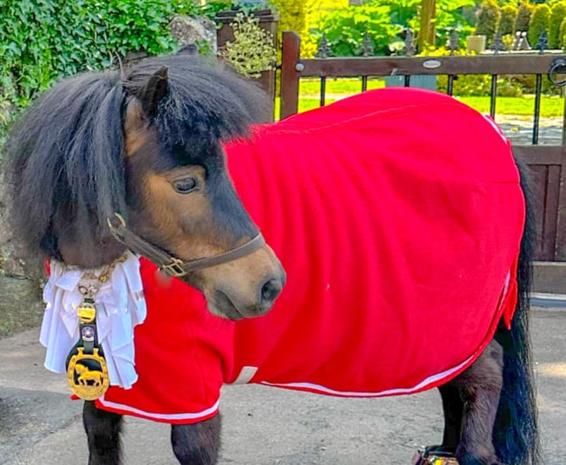 Equine mayor hoofs it to Devon  County Show