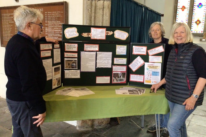 Fight the Fungus campaign display