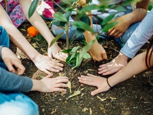 Sustainable South Hams secures £20,000 seed funding 