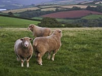South Hams second highest percentage in country for holiday homes
