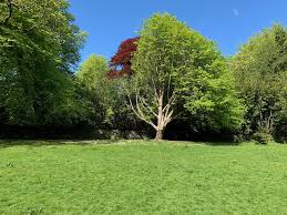 Victoria Park, Ivybridge