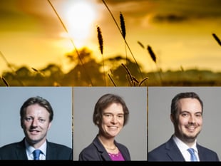 Ministers cannot be entrusted with our most important wildlife sites