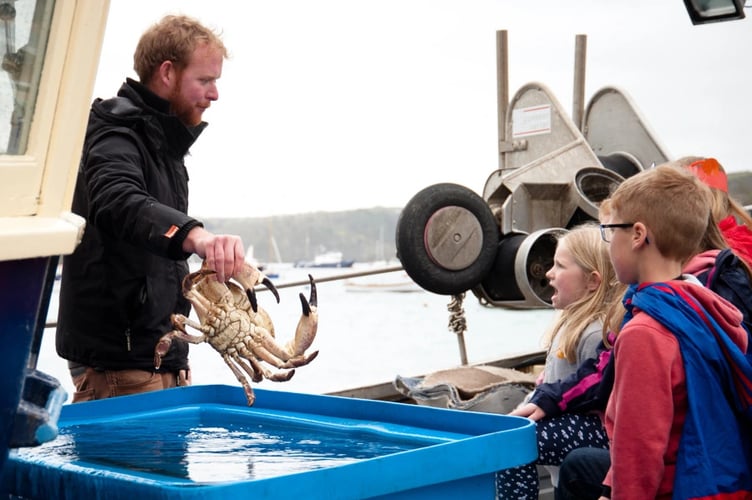 Salcombe Crabfest is enjoyed by people of all ages