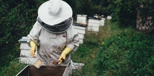 Buckfast Community Bee Days calendar published