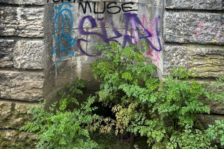 More graffiti