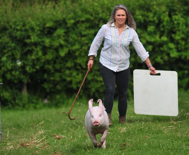 Gates open for first day of Devon County Show