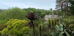 Powerful photo exhibition comes to South Hams garden 