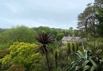 Have willow weaving fun at Coleton Fishacre