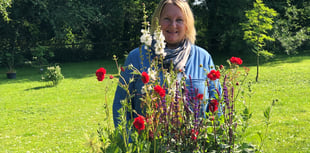 Plant nursery moves from Yorkshire to the South Hams