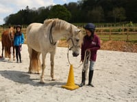 Helping young people with horses