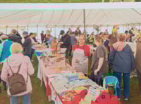 Loddiswell show returns with classic cars and family fun