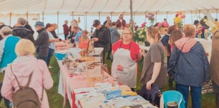 Loddiswell show returns with classic cars and family fun