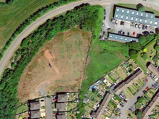 Forest turned into weedkiller wasteland