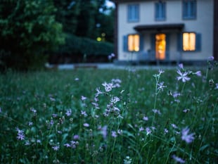 Six home maintenance jobs you should do this summer 