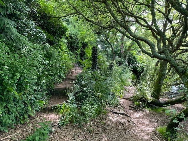 Two paths or one?