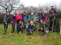 Devon charity aims to plant 34,000 trees on dartmoor