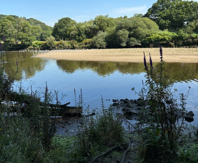 South Hams Village Voice | August 22 