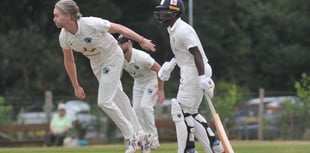 Tolchards Devon Cricket League weekend preview 24/08