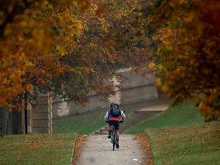 One in 10 people in Devon cycling weekly