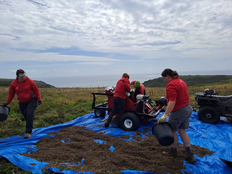 Rangers in the meadow Emma Reece - National Trust