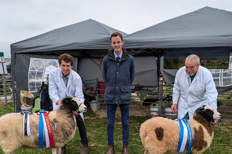 Josh Quant- champion with his aged ewe and reserve champion with his ewe lamb