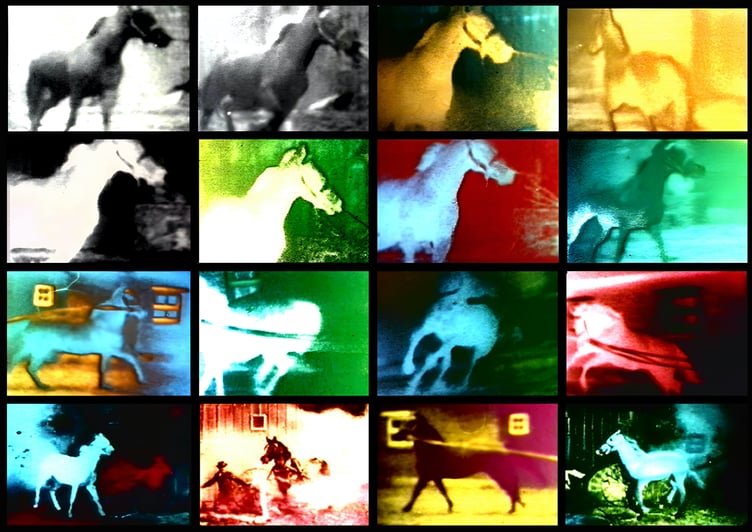 Malcolm Le Grice Berlin Horse