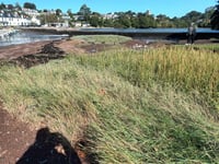 Restoration to be carried out on Stoke Gabriel salt marsh